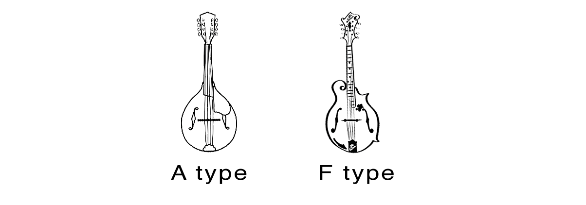 Mandolintyper innen bluegrass